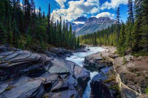 Canada. Foto di un fiume che scorre in un terreno roccioso, nel mezzo di una foresta con alberi ad alto fusto e montagne sullo sfondo.