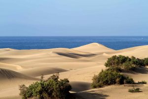 Gran canaria. Foto delle dune di Maspalomas con l'Oceano Atlantico sullo sfondo.