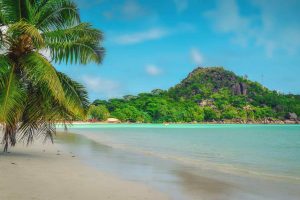 Seychelles. Vista di una spiaggia con sabbia bianca e acque trasparenti. Puoi vedere una palma ai piedi della spiaggia e una vista del resto della spiaggia con una vegetazione lussureggiante sullo sfondo.